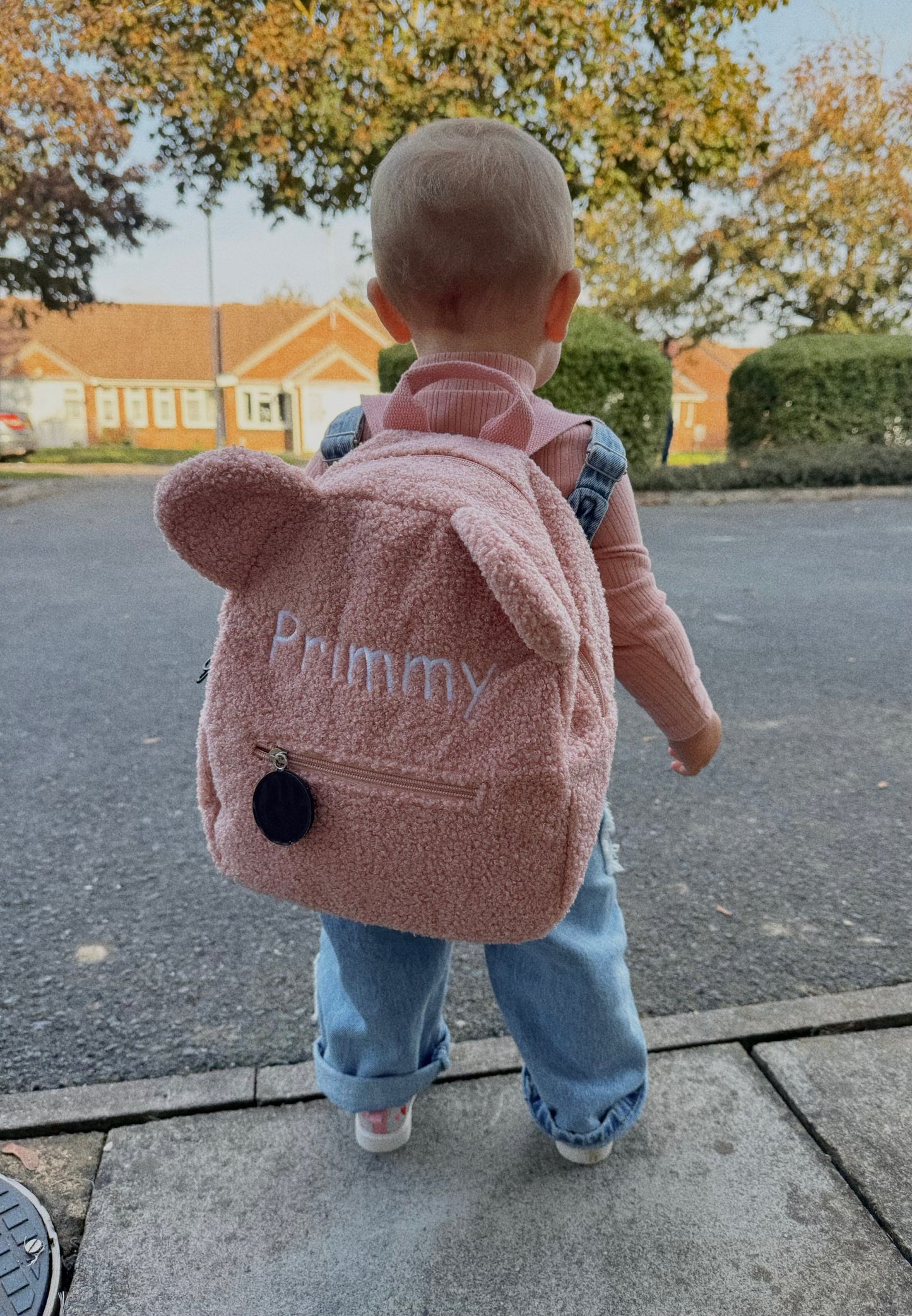 Teddy Bear Backpack